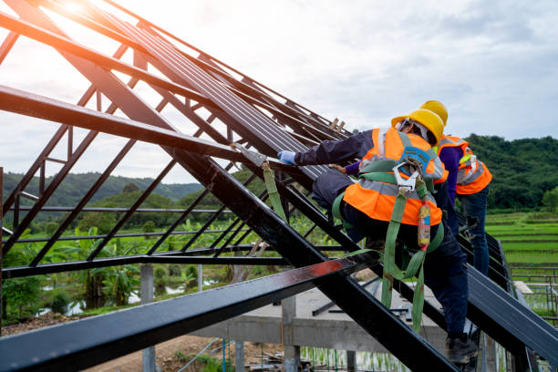 Best Storm Damage Roof Repair  in Lena, IL