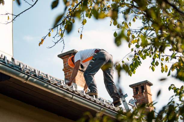Best Residential Roofing Contractor  in Lena, IL