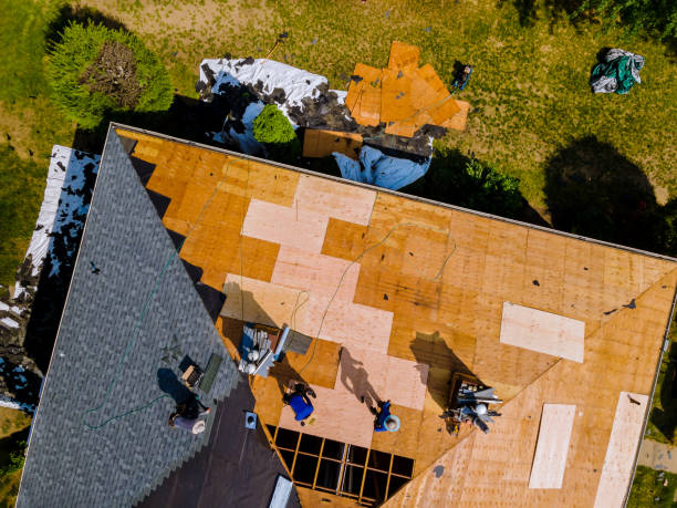 Trusted Lena, IL Roofing Contractor Experts