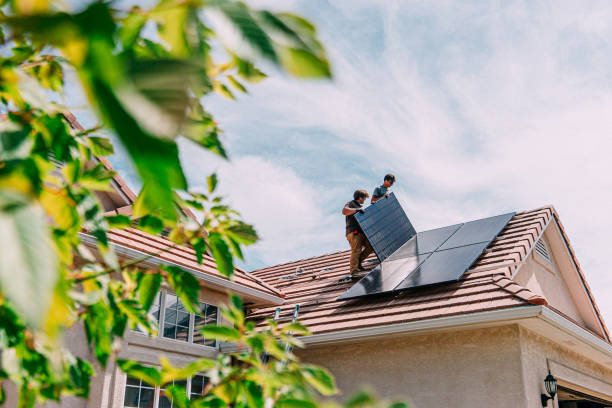 Best Roof Gutter Cleaning  in Lena, IL