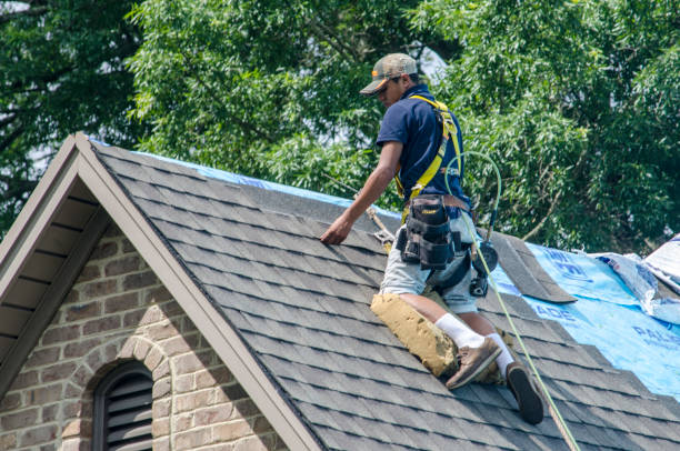 Quick and Trustworthy Emergency Roof Repair Services in Lena, IL